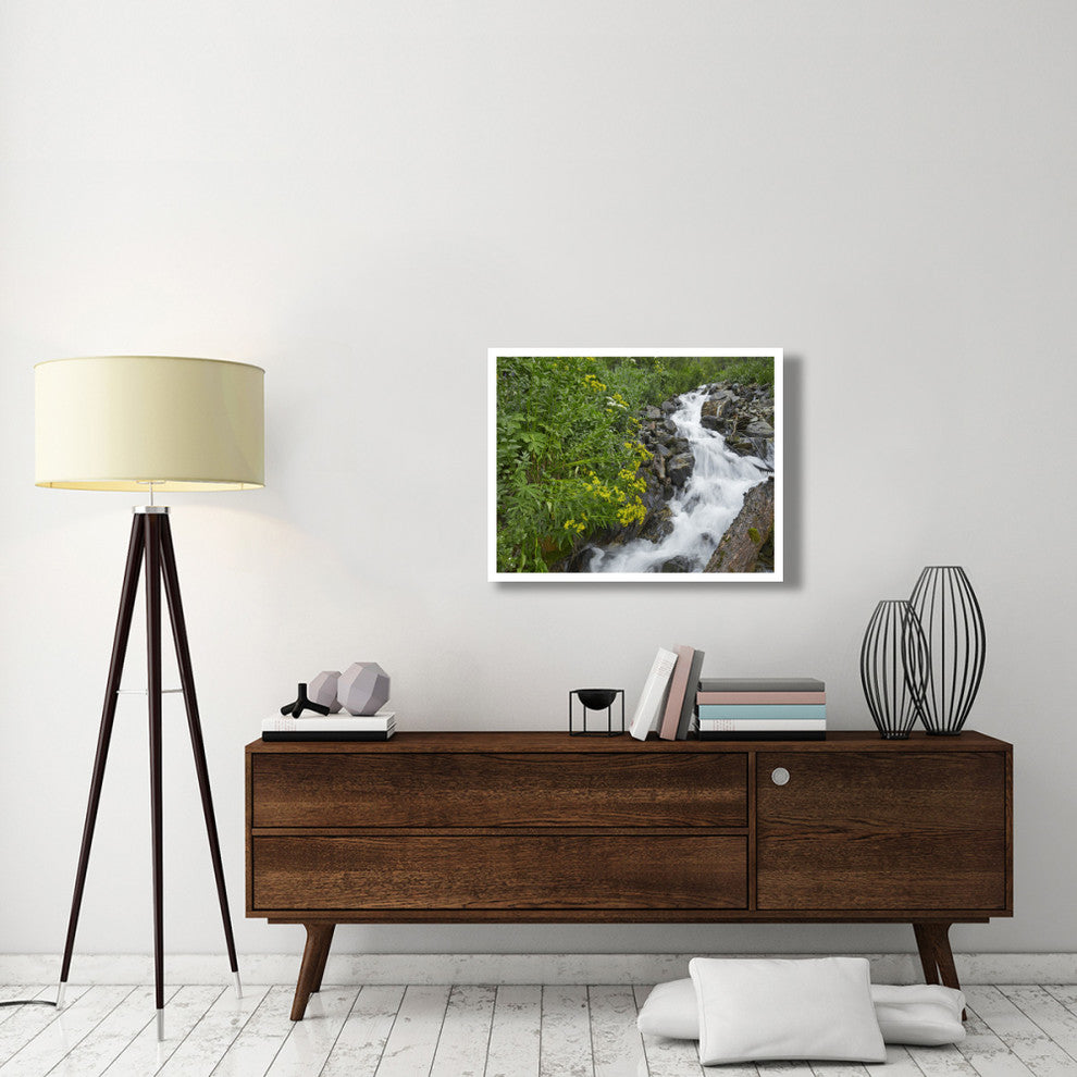 "Creek near Silverton, Colorado" Digital Paper Print by Tim Fitzharris, 34"x26"
