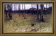 Charles Harold Davis Outside The Village Framed Premium Canvas Print, 16"x24"