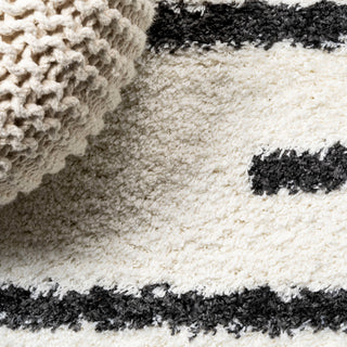 Alaro Berber Stripe Shag, White/Black, 8'x10'