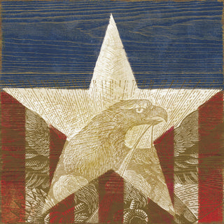 "Stars and Stripes II" Painting Print on Wrapped Canvas