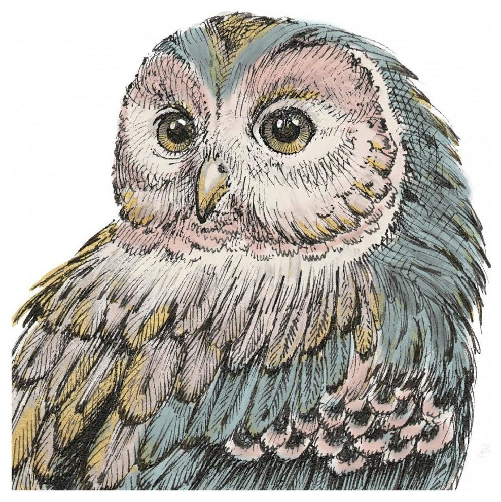 "Beautiful Owls I Pastel Crop" Digital Paper Print by Daphne Brissonnet, 20"x20"