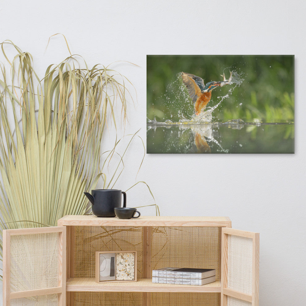 Flying Common Kingfisher Bird - Fish Animal Wildlife Photo Canvas Wall Art Print, 24" X 36"