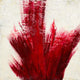 "Red Splash" Museum Mounted Canvas Print, 30"x30"