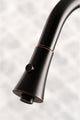 Gourmetier Single-Handle Pull-Down Kitchen Faucet, Naples Bronze