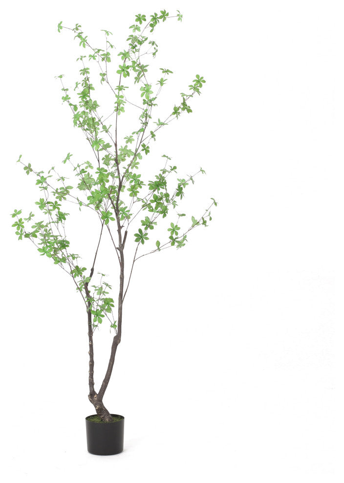 Monadnock Artificial Enkianthus Tree, Green, 35.4wx35.4dx70.9h