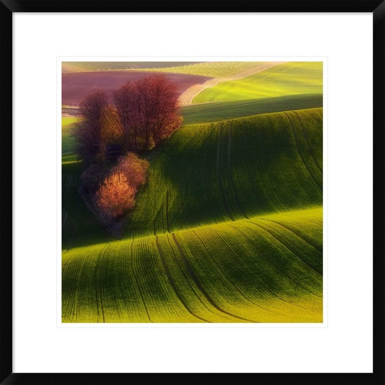 "Green Fields" Framed Digital Print by Piotr (Bax) Krol, 24x24"