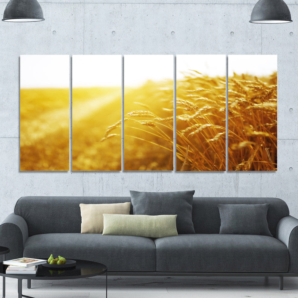 Bright Sunset over Wheat Field, Landscape Canvas Art Print, 60"x28", 5 Panels