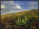 Apollo Beach At Canaveral National Seashore, Florida, 24"x18"