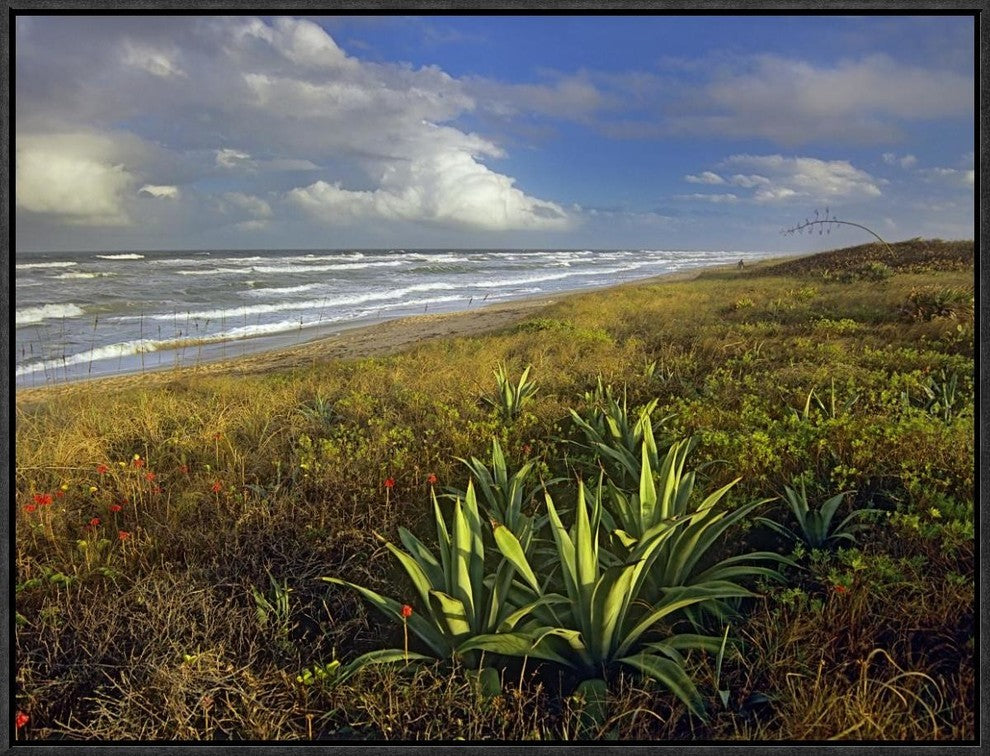 Apollo Beach At Canaveral National Seashore, Florida, 24"x18"