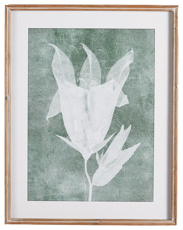 Elegant Set of 6 Translucent White Floral Prints Gray Green White Contemporary