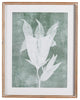 Elegant Set of 6 Translucent White Floral Prints Gray Green White Contemporary