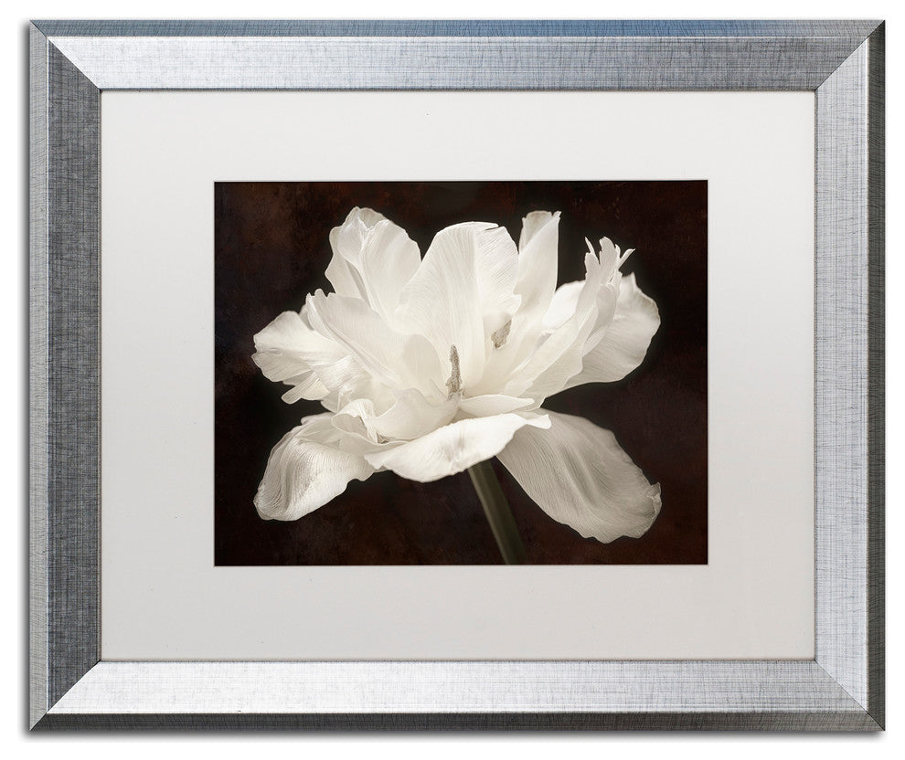 Cora Niele 'White Tulip I' Matted Framed Art