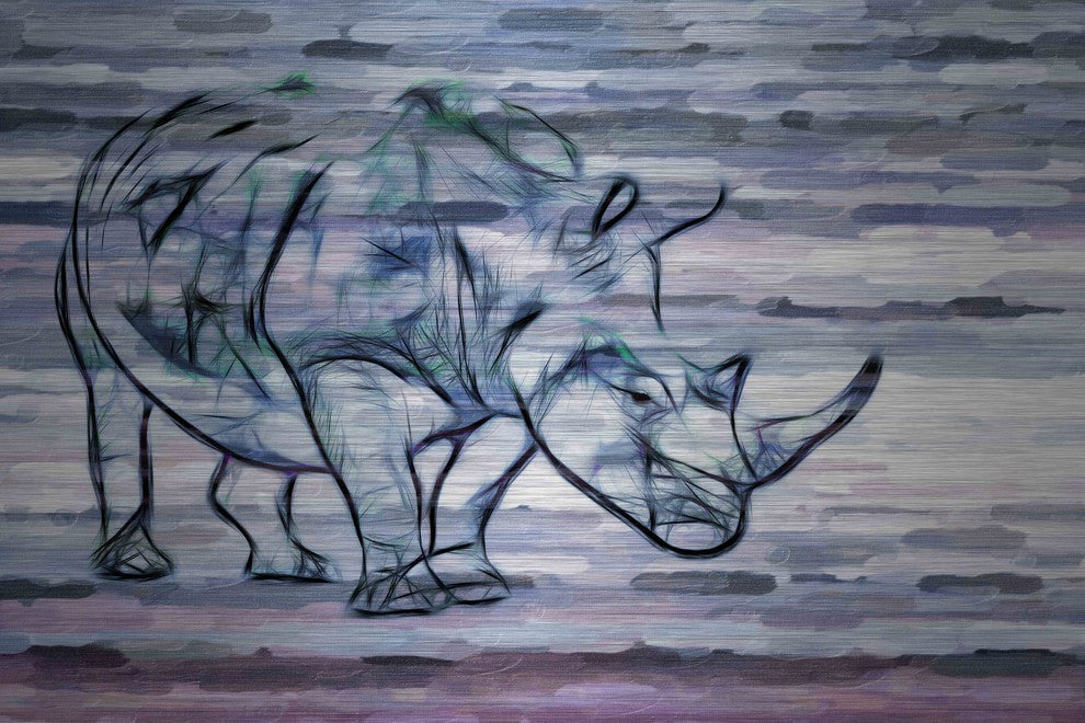 "Rhinoceros" UV Ink Print on Brushed  Aluminum, 45"x30"