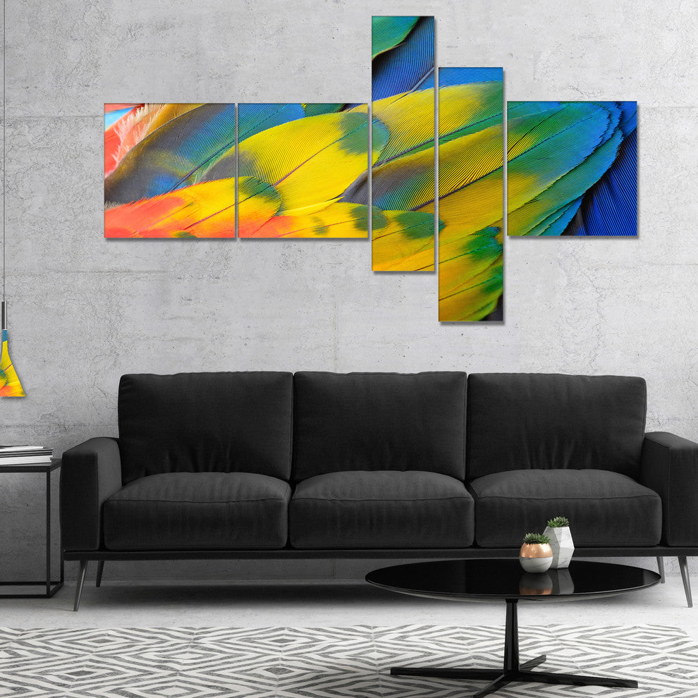 Scarlet Macaw Feathers, Photography Canvas Art Print, 60"x32", 5 panels