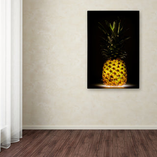 Wieteke De Kogel 'Pineapple' Canvas Art, 24 x 16