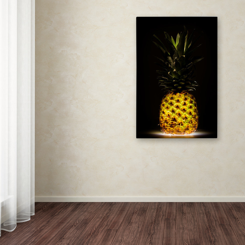 Wieteke De Kogel 'Pineapple' Canvas Art, 24 x 16