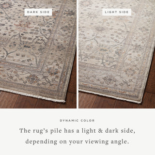 Loloi Lyra Pebble / Multi 2'-7" x 16'-0" Runner Rug
