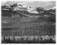 "Long's Peak from Road, Rocky Mountain National Park, 1941" Paper Art, 24"x19"