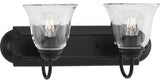 Two-Light Matte Black Transitional Bath and Vanity Light With Clear Glass