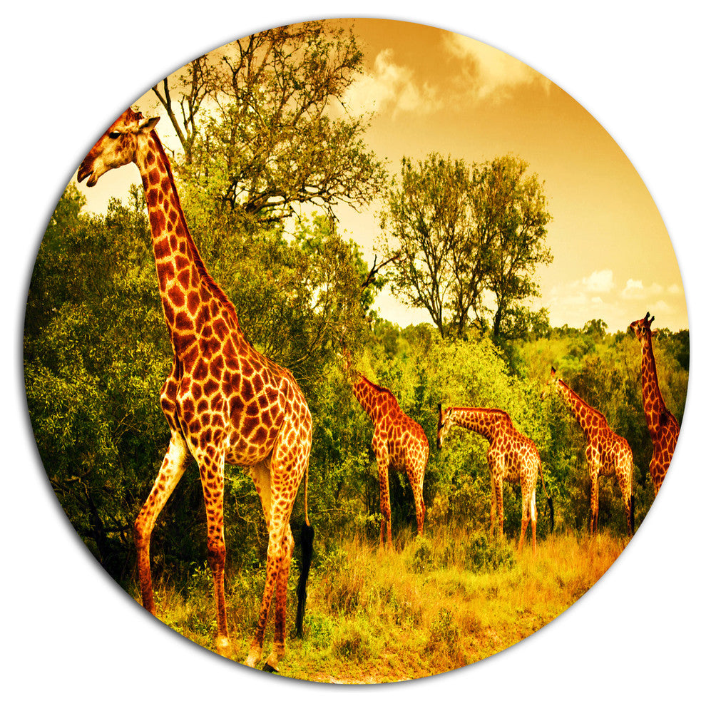 South African Giraffes, African Round Wall Art, 23"
