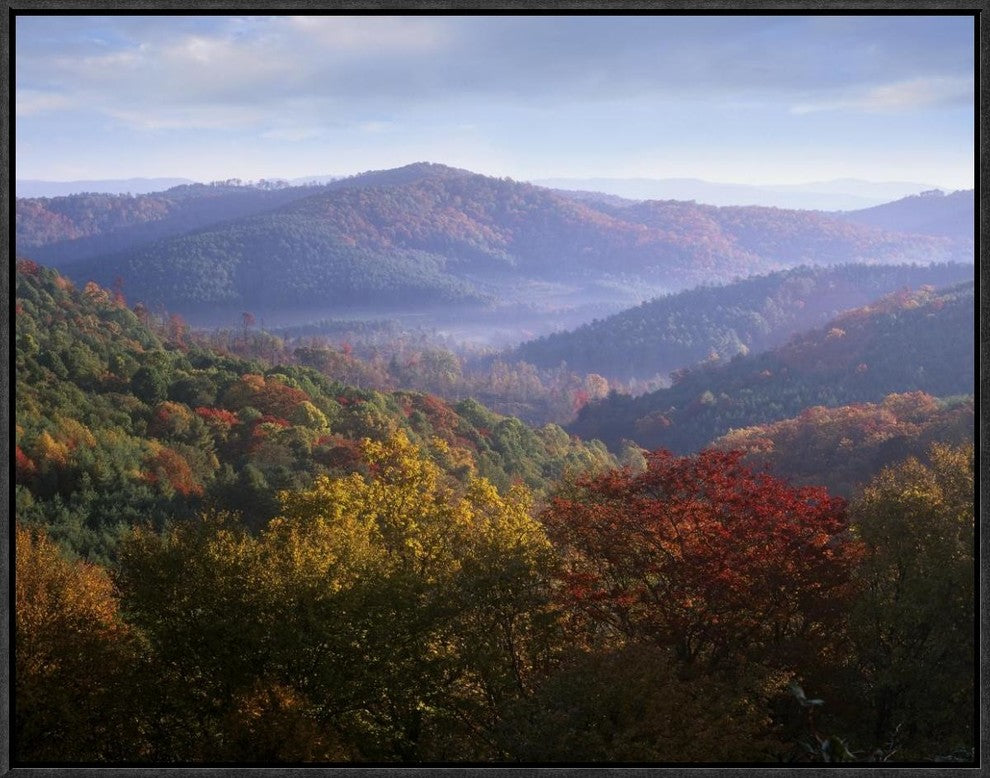 Autumn Deciduous Forest From The Blue Ridge Parkway, North Carolina, 24"x18"