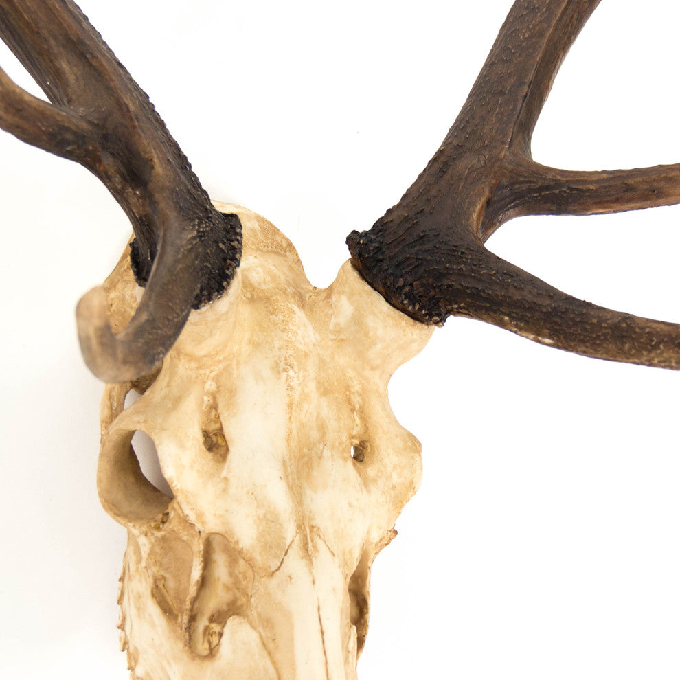 Faux Deer Skull Wall Decor