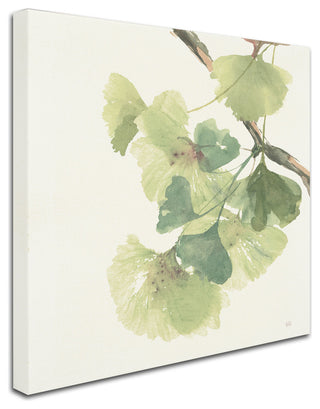 Chris Paschke 'Gingko Leaves II Light' Canvas Art, 24"x24"