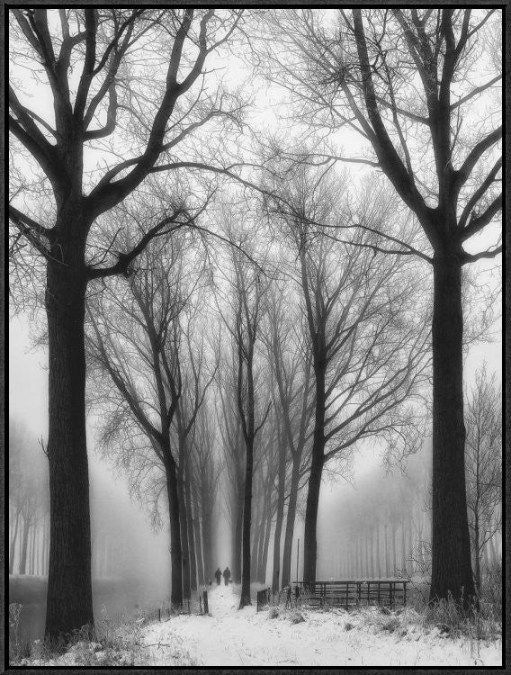 "Then Winter Comes" Framed Canvas Giclee by Yvette Depaepe, 23x31"
