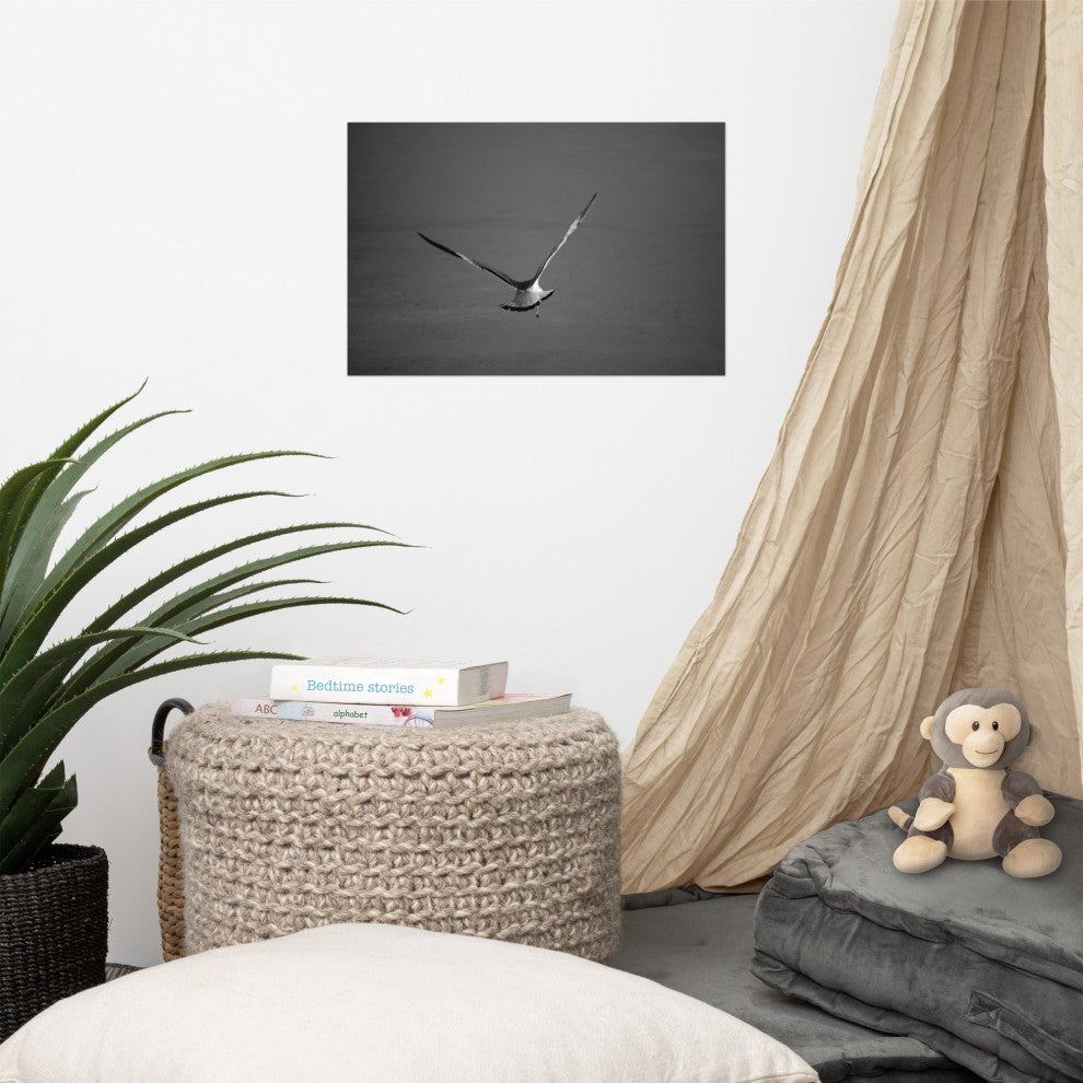 Flying Free Black & White (Coastal Bird) Wildlife Photo Unframed Wall Art Print, 12" X 18"