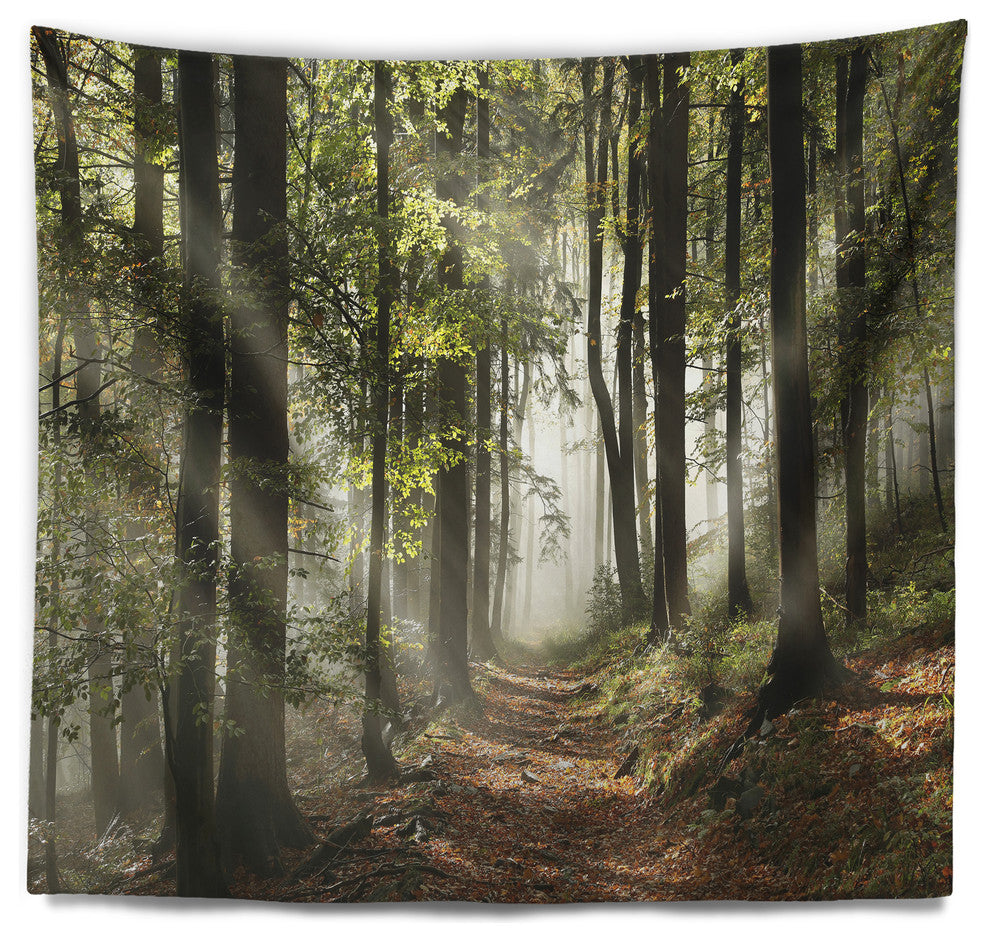 Green Fall Forest with Sun Rays Landscape Photography Wall Tapestry, 60"x50"