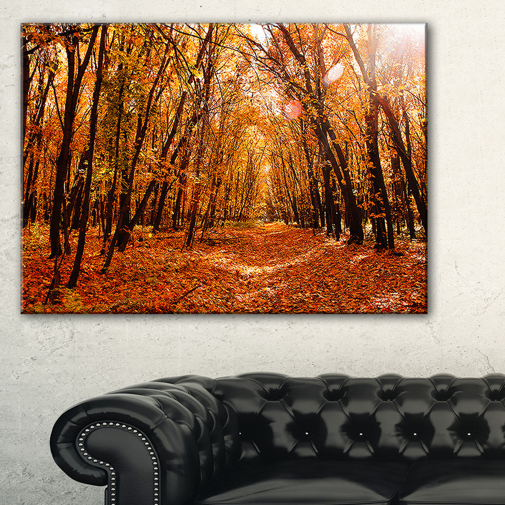 "Yellow Falling Leaves in Forest" Landscape Photo Wall Art, 40"x30"