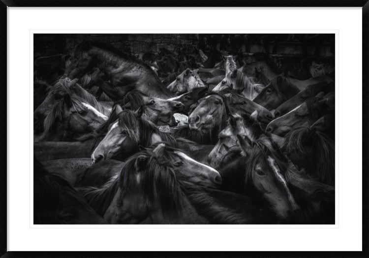 "Acorralados" Framed Digital Print by Alfonso Maseda Varela, 44x30"