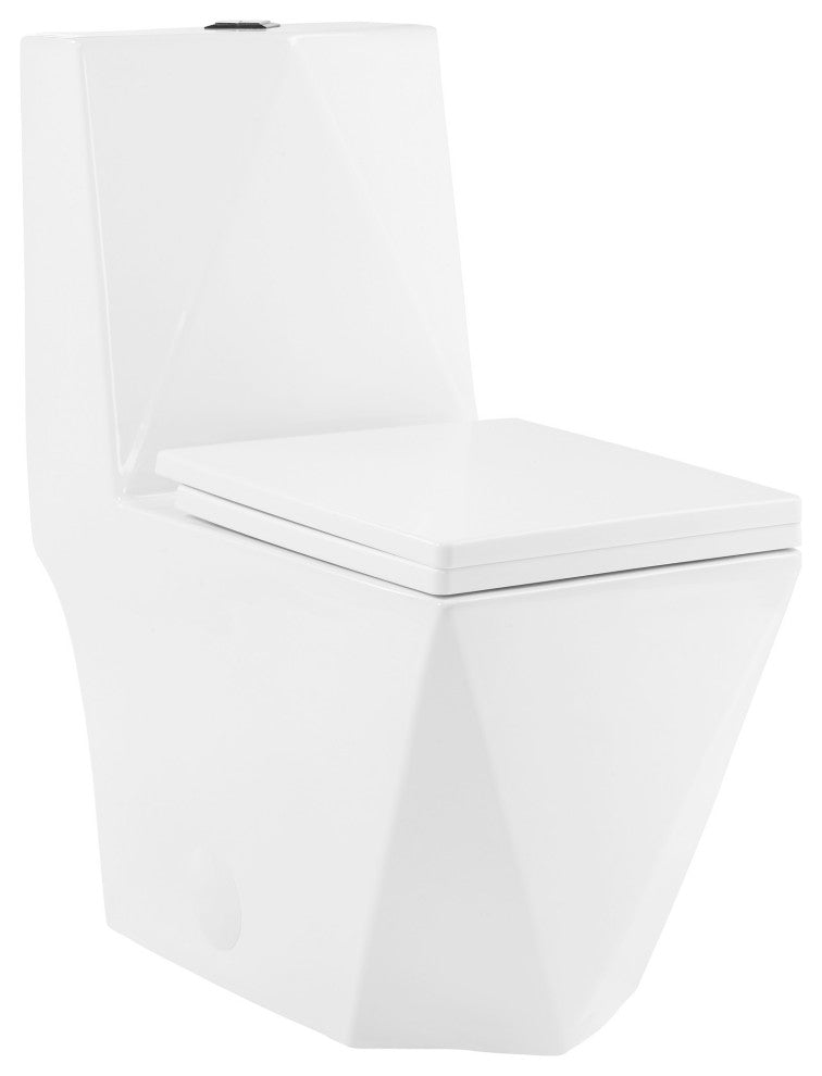 Brusque One-Piece Square Toilet Dual-Flush 1.1/1.6 gpf