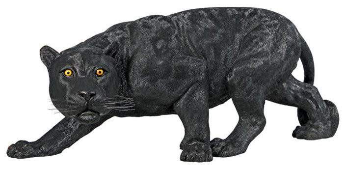 Grande Shadowed Predator Black Panter