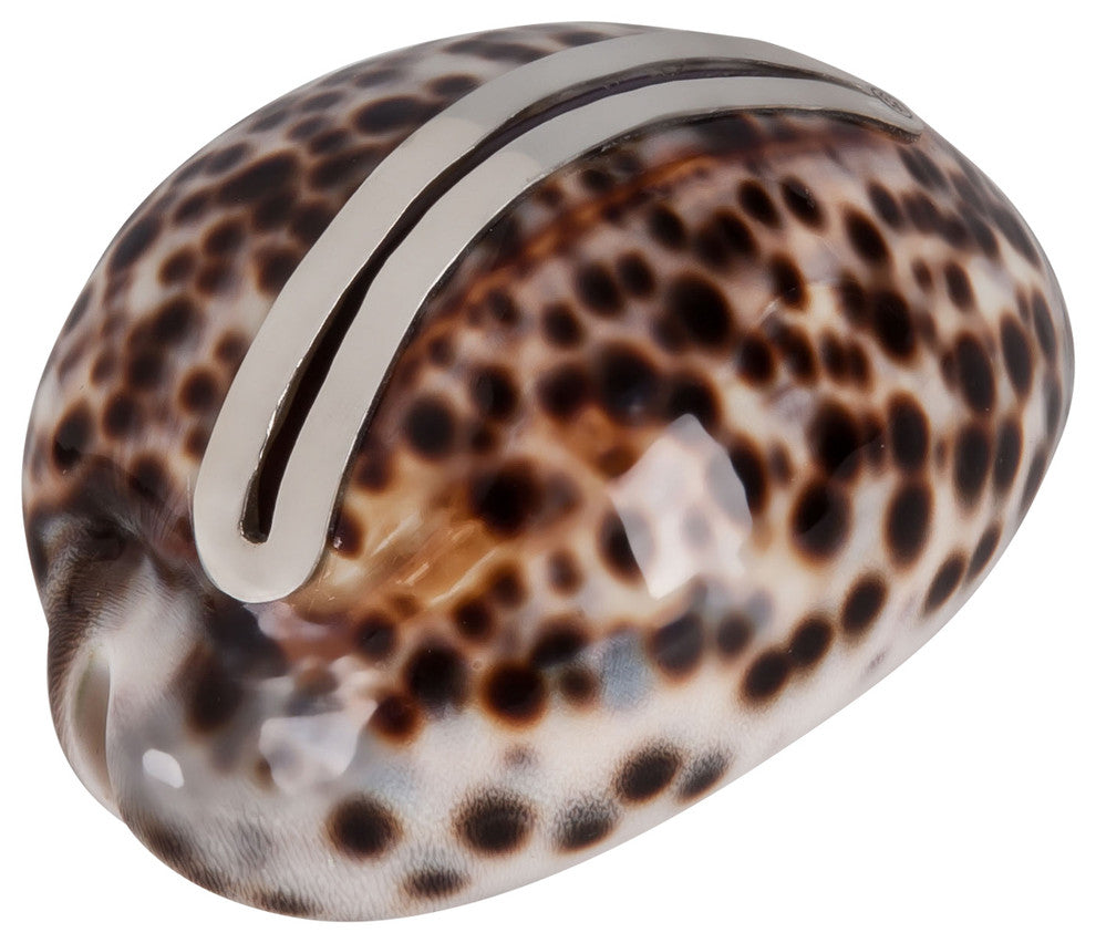 Cowery Shell Place Card Holder with Sterling Silver Insert
