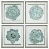 Uttermost Natural Beauties Botanical Prints Set of 4, 33679