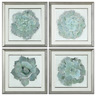 Uttermost Natural Beauties Botanical Prints Set of 4, 33679