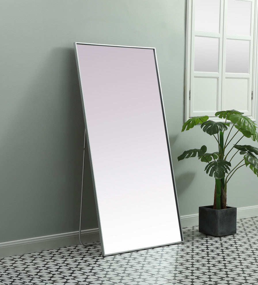 Metal Frame Rectangle Full Length Mirror 30X60 Inch, Silver