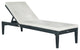 Safavieh Montclair Indoor/Outdoor Sunlounger, Dark Slate Gray