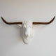Faux Taxidermy Steer Head Wall Mount, White and Rust