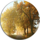 Rural Road Under Green Trees, Landscape Photo Disc Metal Artwork, 11"