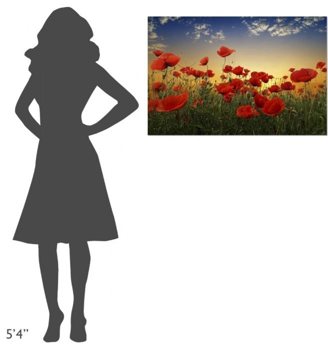 "Poppies" Stretched Canvas Giclee by Tais, 36x24"