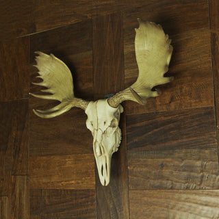 Large Lifelike Bull Moose Skull Hanging Wildlife Decor Statue