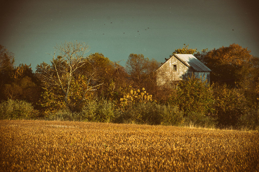 Canvas Wall Decor: Abandoned Barn - Aged Rural Landscape Photo, 16" X 20"