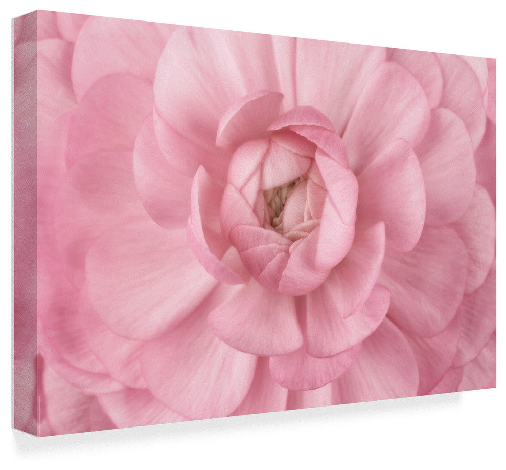 "Pink Flower Petals" by Cora Niele, Canvas Art, 12"x19"