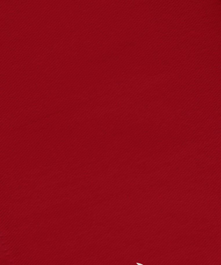 Warmest Wishes, Holiday Animal Print Napkin, Red, Set of 4