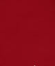 Warmest Wishes, Holiday Animal Print Napkin, Red, Set of 4