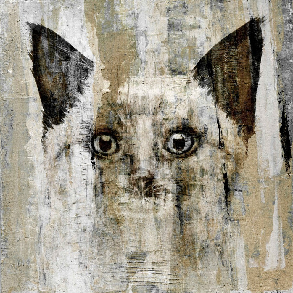 "Brown-Eyed Cat" Painting Print on Wrapped Canvas, 24"x24"