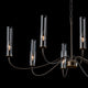 Grace 8 Arm Chandelier, Dark Smoke Finish, Brass Accents, Clear Glass