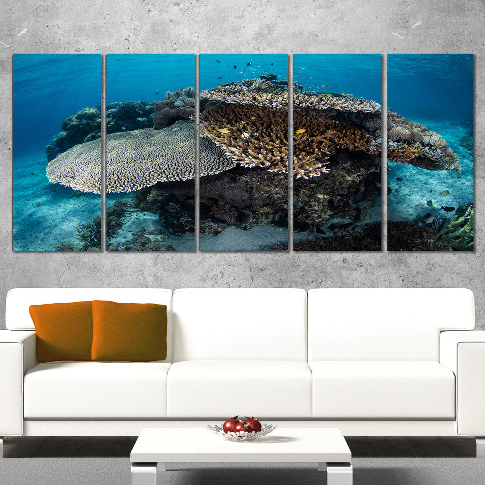 Corals and Fish in Komodo National Park, Seashore Canvas Art, 60"x28", 5 Panels